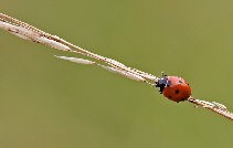20090713-_86H6937-klein