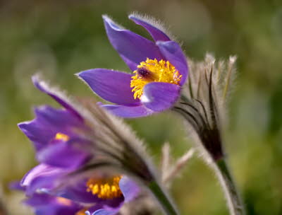 20090402__86H5131_klein