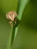20090502__86H5857_klein