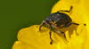 20090509__86H5978_klein