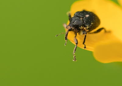 20090509__86H5980_2_klein
