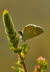 20090702_IMG_0011_klein