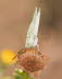 20090810__MG_1293_klein