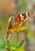 20090917__MG_1729_klein