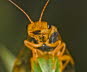 _86H2288_klein