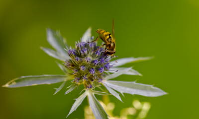 _86H2677_klein