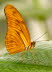 _86H4179_262_klein