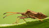 _MG_3323_232_klein
